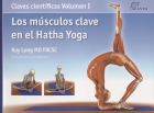 Los msculos clave en el hatha yoga