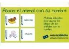 Associate the animal with its name. Educational material to associate pictures of the animals with your name