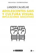 Adolescentes gais y cultura visual. Implicaciones educativas