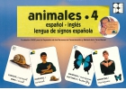 Vocabulario fotogrfico elemental - animales 4 (insectos)