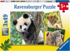 Panda, tigre y len. Puzzle 3x49 piezas